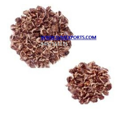 Pure Moringa Seed Export